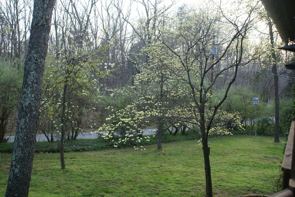 Ebenezer House Bed & Breakfast Burtonsville Buitenkant foto